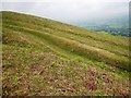 Path to the south of Winder, Howgill Fells in LA10 5HE