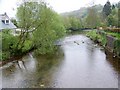 River Barle, Dulverton in TA22 9HL