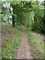 Footpath to Caton in LA2 6BJ