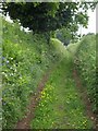 Footpath near Willand in TA3 7RL