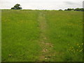 Footpath towards Blacklands Wood in TN8 7DJ