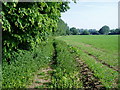 Footpath to Wicks Farm in BN18 0XL