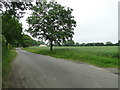Country Road in IP19 9JX