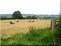 Field with hay bales, near Rhiwiau in LD3 8LP