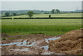 View into a field of barley in DN22 9LG