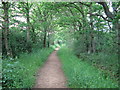 Gratten Lane bridleway to Great Wapses Farm in RH17 5NP