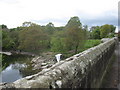 South parapet of Devil's Bridge and a seagull in LA6 2AT