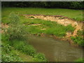 Eroding bank on the River Medway in TN11 8EN