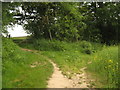 Footpath junction near Swaylands in TN11 8DY