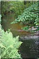 The River Lyd, downstream view in GL15 5JW