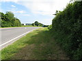 Looking south on the B2118 towards Muddleswood in Downland Villages Ward