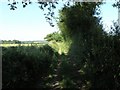 Public Footpath near Elmsted in TN25 5JU
