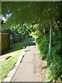 Path from Honeysuckle Court to Mole Hill in PO7 7DG