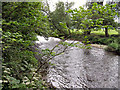 River Goyt in SK6 3BR
