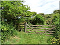 A Footpath leading away from Challacombe Hill in EX34 7BB
