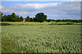 Wheat field and Thurlestone Grange in DE72 3FG
