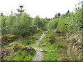 Cleared path to Achnabreck stones in PA31 8SG