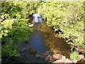 Afon Dwyfor above Pont Rhyd-y-benllig in LL52 0NB