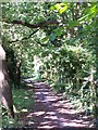 Path beside stream at Testwood in SO40 2QW
