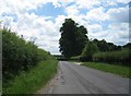 Hampshire country lane in RG26 5SE