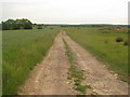 Farm track leading towards the Tenterden Sewer in TN26 3SS