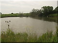 Pond near Tenterden Sewer in TN26 3SS