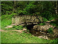 Wooden Bridge in the Park in NP4 8BR