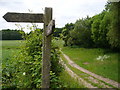 Footpath Junction near Wyck Place in GU34 3AU