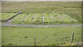 Burial ground at Balmeanach, Staffin, Skye in IV51 9JY
