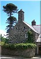 Araucaria araucana and period chimneys at Ysgubor Hen in LL52 0LJ