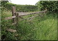 Stile and gate near Odcombe in BA22 8TZ