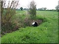 Stream in the culvert in WR11 7RL