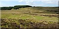 Moorland near Knockshanoch in West Dunbartonshire