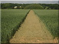 Footpath to Kenardinton Road in TN26 2BS