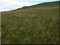 Moorland on Cracoe Fell in BD23 6LE