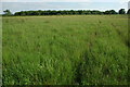 Farmland near Oldberrow in B95 6AA