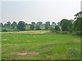 Fields at Martin's Ash in SY13 4EQ