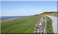 Coastal view south of Hallin, Skye, from the road north in IV55 8GH