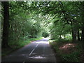Road Through Fawke Common in TN15 0JG