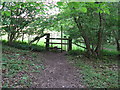 Stile at the edge of Highbeech Plantation in GU8 4UD