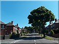 Hollythorpe Rise looking south in S8 8PD