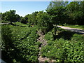 Dry bed of River Hamps near Waterhouses in ST10 3JU