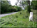 Milestone near Mildenhall in SN8 3HP