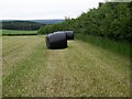 Silage making near Wickham in RG20 8NP