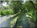 The River Lambourn at Westbrook in RG20 8DP