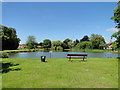 The village pond at Great Massingham in PE32 2JJ