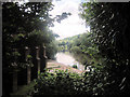 River Severn upstream from Museum of the Gorge in TF12 5RA