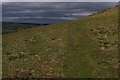 Faint Track on the Flanks of Heughscar Hill in CA10 2LT