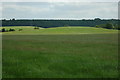 Undulating farmland near Morton Bagot in B80 7AH