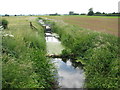 The Old Rhyne crossing Lyng Moor (looking west) in TA3 5AP